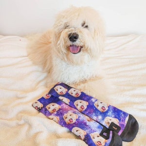 Chaussettes pour chiens personnalisées Mettez votre chien mignon sur des chaussettes personnalisées, amoureux des chiens, cadeau pour chien, chien mignon personnalisé, chaussettes cadeaux pour chiens, cadeau de la fête des Pères image 3