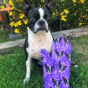 May include: A black and white Boston Terrier dog sitting in front of a purple oven mitt with a pattern of the same dog's face. The oven mitt has a white bone pattern and is surrounded by green grass.