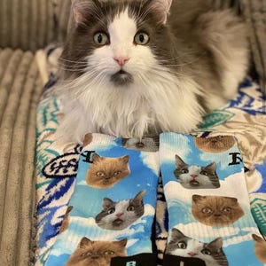 Custom Cat Printed Socks Customized Photo Socks Personalized Socks Custom Printed Socks Picture Socks Gift Socks image 6