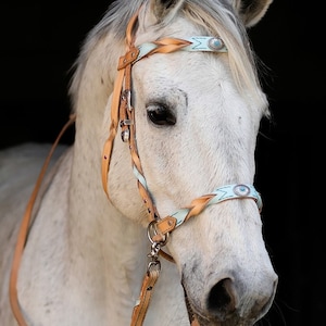 Custom sidepull with twists, also available as a set with matching loop or split reins