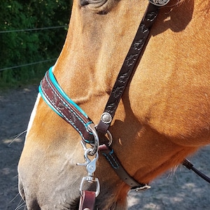 Mahogany / turquoise sidepull with oak leafs size (large!) Full / XFull with matching split reins.