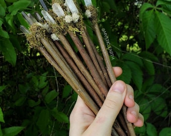 Handmade Crystal Wands: Apple Wood with Smoky or Clear Quartz | Witchcraft Cosplay Accessory Prop | Preserved Moss