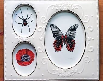 Original Black Widow, Scarlet Mormon Butterfly, Red Anemone Flower Colored Pencil Drawing in Vintage Floral Ceramic Frame