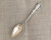 Louis XV by Whiting Sterling Citrus Fruit Spoon - Mono Velma