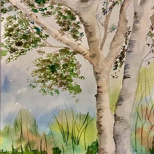 Summer birch trees watercolor painting