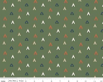 RILEY BLAKE, Adventure is Calling of Riley Blake Designs, GREEN, 10724 , fabric, cotton, quilt cotton