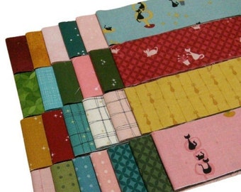 25 JELLY ROLLS CAT, pre-cut cotton, 2 1/2" X 44", 100% cotton - Mod Meow de Riley Blake Designs