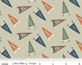 RILEY BLAKE, Adventure is Calling of Riley Blake Designs, 10723 , fabric, cotton, quilt cotton