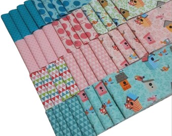 40 Jelly Rolls, 2 1/2" X 44", Pre-Cut cotton - CAT'S MEOW de Riley Blake Designs