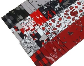 QUILT FABRICS, 40 stripes 2 1/2x44po, Jelly Rolls, 100% cotton, quilt cotton - North of Ordinary of Camelot Fabrics