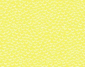 DEAR STELLA, BUTTERCUP, Shell we Dance, 1875, 100% cotton, cotton quilt, cotton designer