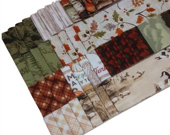 40 Stripes, Jelly Rolls, 2 1/2" X 44", Pre-Cut cotton - Autumn de Timeless Treasures