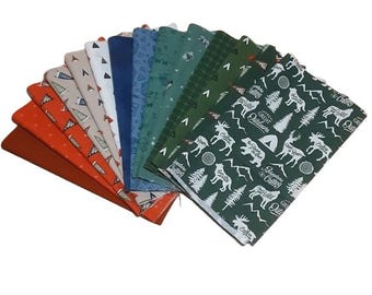 QUILT FABRIC, 100% cotton, quilt cotton - Adventure is Calling de Riley Blake designs