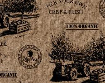 Fabric cotton, Stamped Burlap, 21231102-01, QUILT FABRICS, 100% cotton, quilt cotton - Apple Orchard of Camelot Fabrics