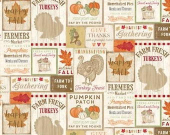 TIMELESS TREASURES, Pumpkin Batch Misc, 100% coton, C7864, Happy Fall Harvest of Timeless Treasures
