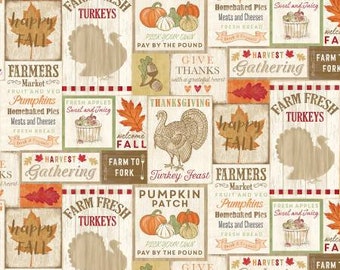 TIMELESS TREASURES, Pumpkin Batch Misc, 100% coton, C7864, Happy Fall Harvest of Timeless Treasures