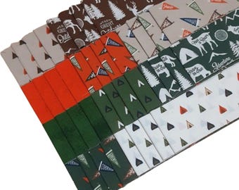 40 Stripes, Valentine, Jelly Rolls, 2 1/2" X 44", Pre-Cut cotton - ADVENTURE IS CALLING de Riley Blake Designs