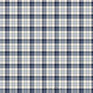 Peut inclure: Un motif textile présentant un design à carreaux classique composé de lignes horizontales et verticales qui s'entrecroisent. La palette de couleurs se compose de bleu marine profond, de bleu pervenche clair et de blanc cassé, formant une grille équilibrée.