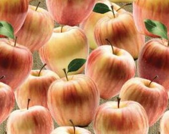 Fabric cotton, Apples, 21231105-01, QUILT FABRICS, 100% cotton, quilt cotton - Apple Orchard of Camelot Fabrics