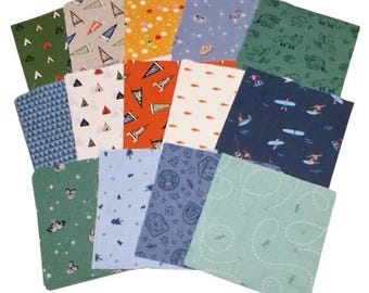 RILEY BLAKE, 42 squares 5 inchs, cotton, cotton quilt, cotton designer