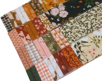 40 Stripes, Jelly Rolls, 2 1/2" X 44", Pre-Cut cotton - BOTANY de Camelot Fabrics