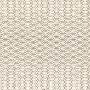 Peut inclure: Un motif sans couture de formes hexagonales répétitives de couleur brun clair sur un fond blanc.