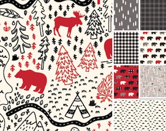 QUILT FABRIC, 42 squares 10 inchs - Wid at Heart de Riley Blake Designs