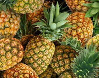 QUILT FABRIC Pineapple, 100% cotton, cotton quilt, cotton designer