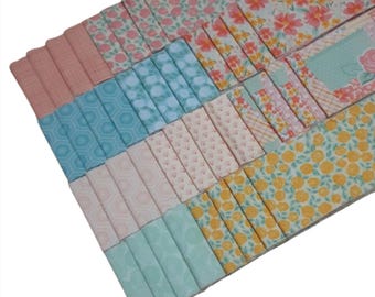 40 Stripes, Jelly Rolls, 2 1/2" X 44", Pre-Cut cotton - PRAIRIE DAY de Camelot Fabrics