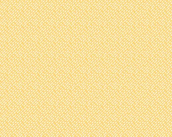 CAMELOT FABRICS, Wish for Rain, 89191004, 100% Cotton designer, Puck Selders