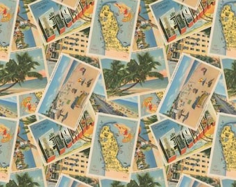 Fabric cotton, FLORIDA POSTCARDS, 66240301, 01, Quilt Fabrics, 100% cotton, quilt cotton - Palm Paradise of Camelot Fabrics