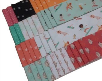 40 Stripes, Jelly Rolls, 2 1/2" X 44", Pre-Cut cotton - OMSTOPPABLE de Camelot Fabrics