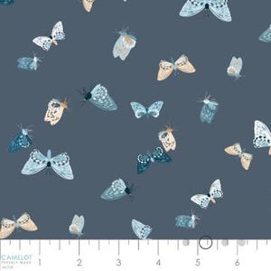Fabric cotton, Flutter Wings, Grey Blue, 58230506-02, QUILT FABRICS, 100% cotton, quilt cotton - Midnight In Bloom of Camelot Fabrics