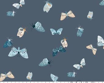 Fabric cotton, Flutter Wings, Grey Blue, 58230506-02, QUILT FABRICS, 100% cotton, quilt cotton - Midnight In Bloom of Camelot Fabrics