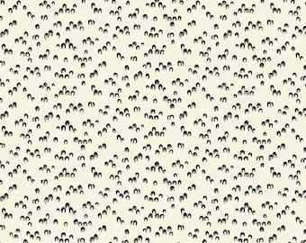 QUILT FABRIC HALLOWEEN, 9491, cotton quilt, cotton designer - Sleepy Hallow d'Andover Fabrics