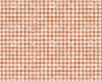 Quilt Fabric DISTRESSED GINGHAM, Cotton Quilt Fabric , 55250205-01, Sagebrush Babies de Camelot Fabrics