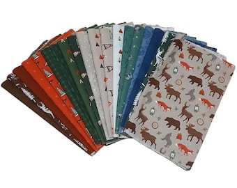 QUILT FABRIC, 100% cotton, quilt cotton - Adventure is Calling de Riley Blake designs