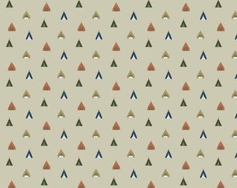 RILEY BLAKE, Adventure is Calling of Riley Blake Designs, 10724, fabric, cotton, quilt cotton