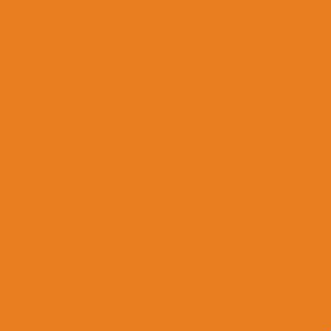Peut inclure: Fond uni orange.