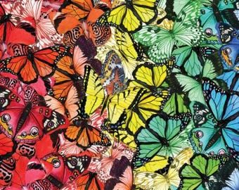 Fabric cotton, RAINBOW BUTTERFLIES, 76250103-01, Quilt Fabrics, 100% cotton, quilt cotton - Monarch Gardens of Camelot Fabrics