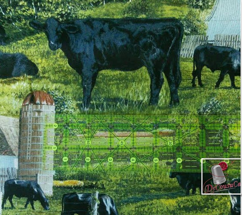 CP62417 Wild Wings by Rollie Brandt 100/% Cotton, Spring Creative Black Angus Multiple quantity cut in one piece Reg 2.99-17.99