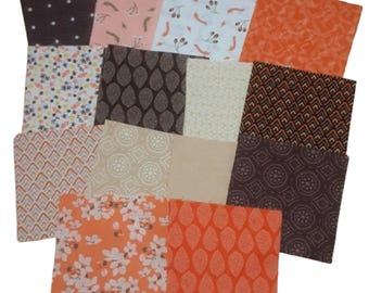42 precut 5 inchs - ORANGE, BEIGE, BROWN, 100% cotton - Flower Market of Camelot Fabrics