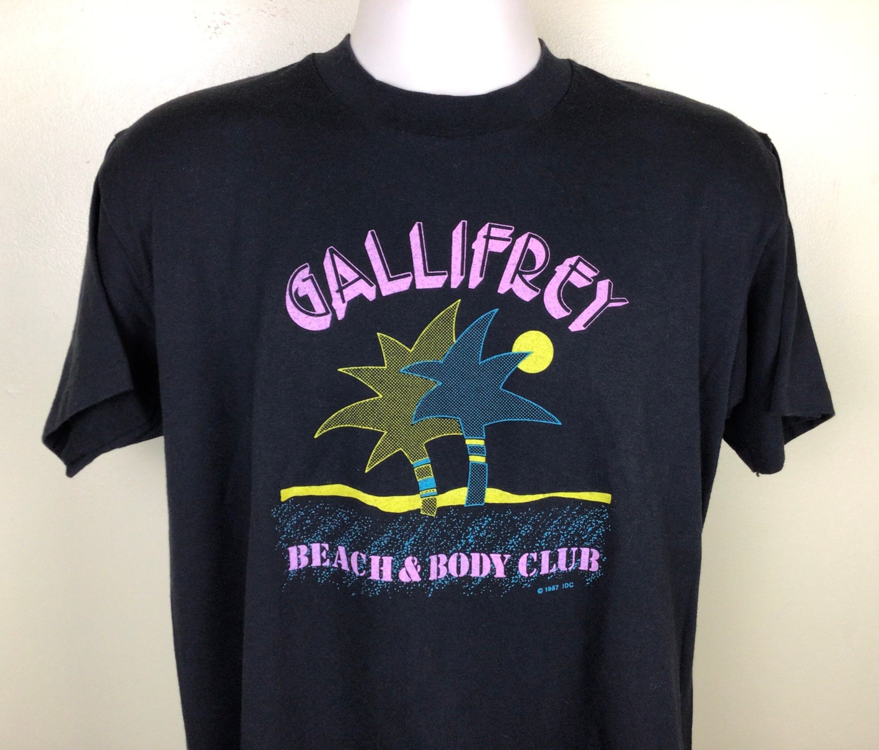 ヴィンテージ 1987 ガリフレイ ビーチ＆ボディ クラブ Tシャツ 