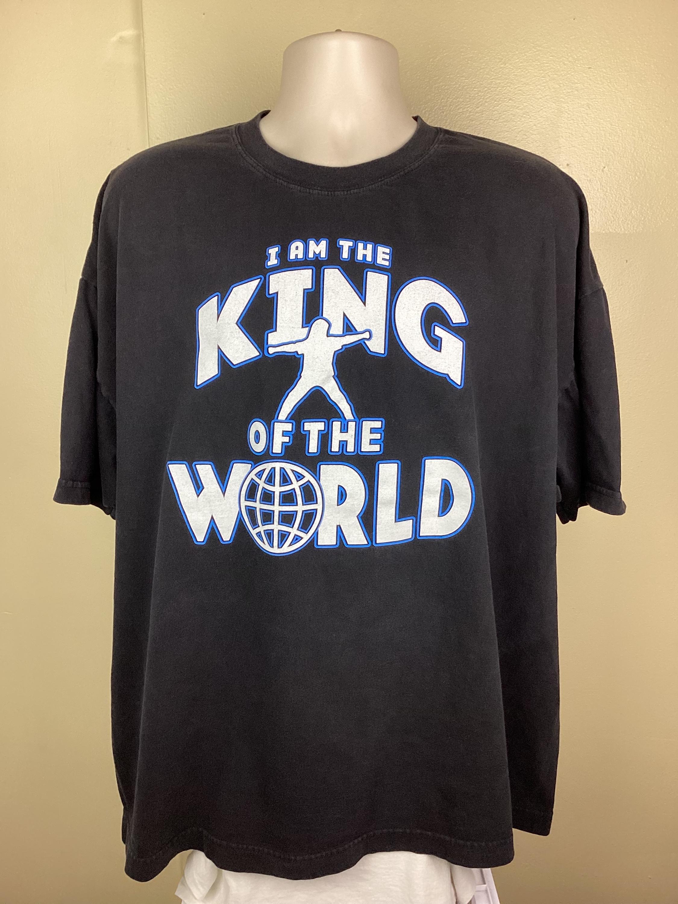 WWE ザ・ロック　Tシャツ　2002年(WWE公式グッズ) Mサイズ ヴィンテージ 2002 WWE クリス・ジェリコ Tシャツ Y2K キング・オブ