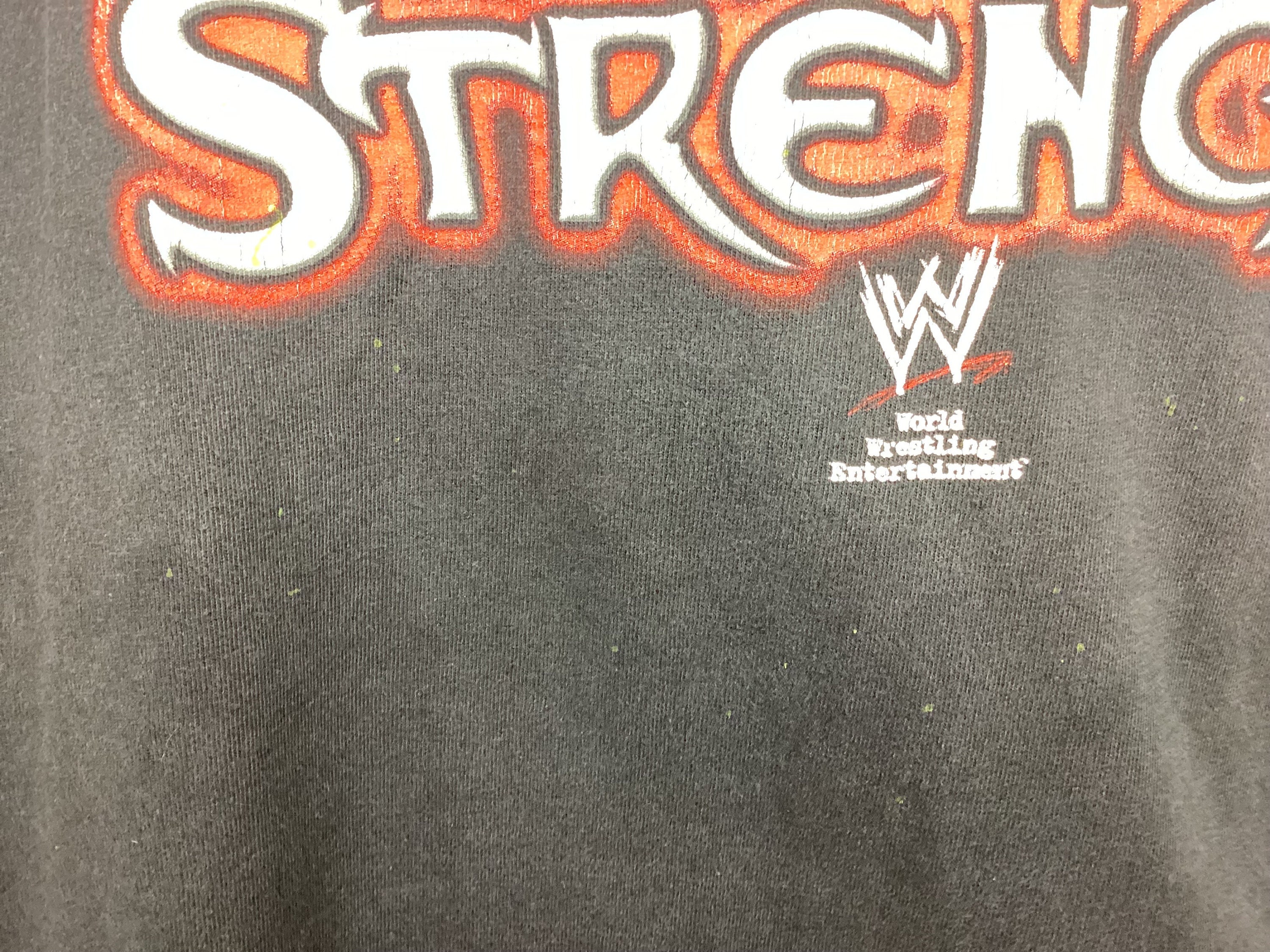 ヴィンテージ 2004 WWE ハートブレイク・キッド ショーン・マイケルズ