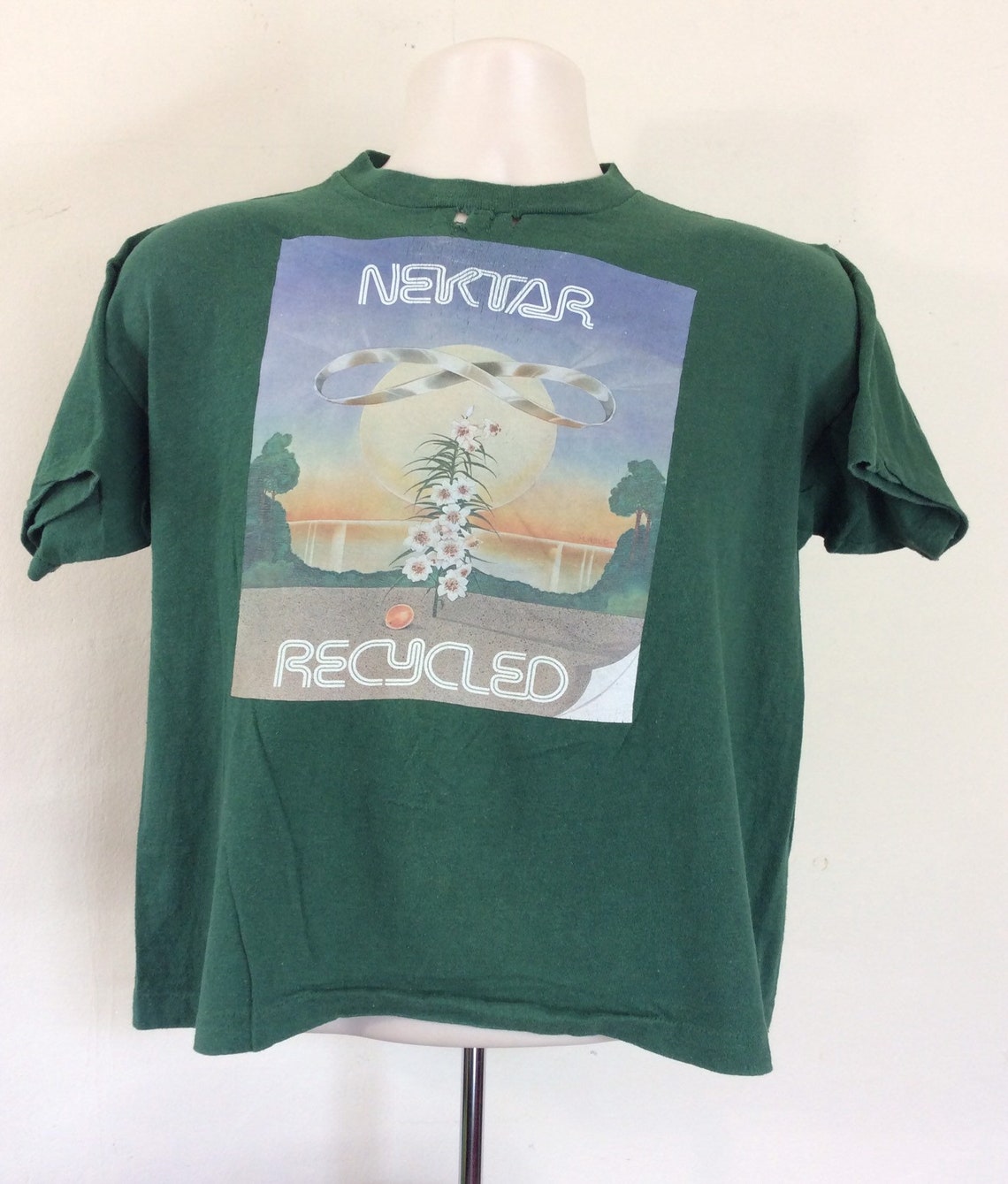 Vtg 1976 Nektar Concert T-shirt Green L 70s Recycled Synergy | Etsy