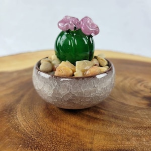 Glass Cactus plant in a ceramic crackle glaze pot