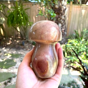 Polychrome Jasper Mushroom 734g Specimen From Madagascar Mineral Crystal