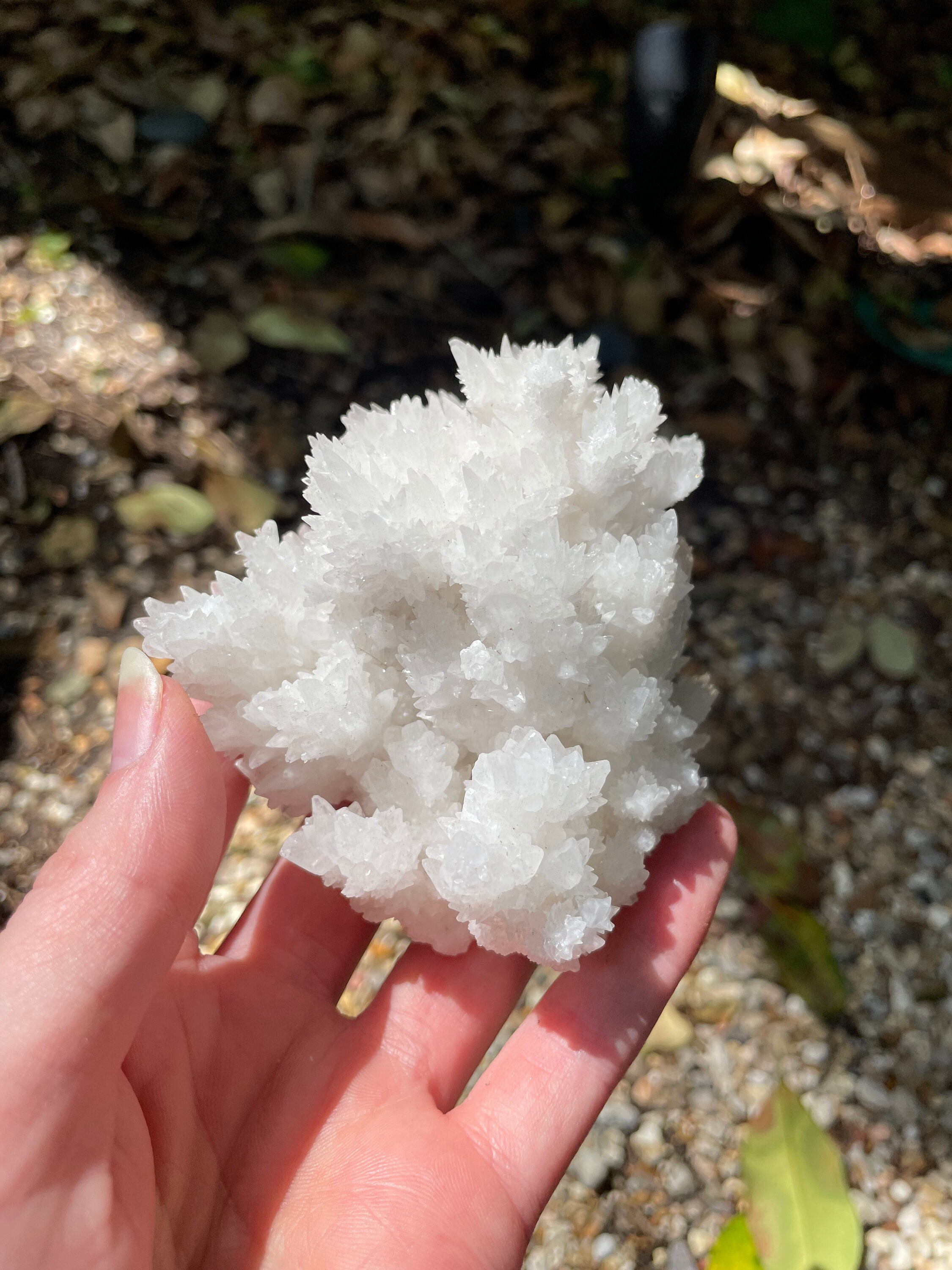 メキシコ産アラゴナイト洞窟方解石 239.9g 標本 結晶 鉱物 - Etsy 日本