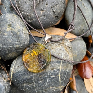 Polished and Carved Flower of Life Mexican Amber Pendant from Ciapas Mexico 1.5&quot;Long
